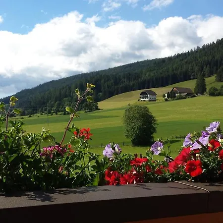 Ferienwohnungen Haus-Holzer Mauterndorf  Exterior photo