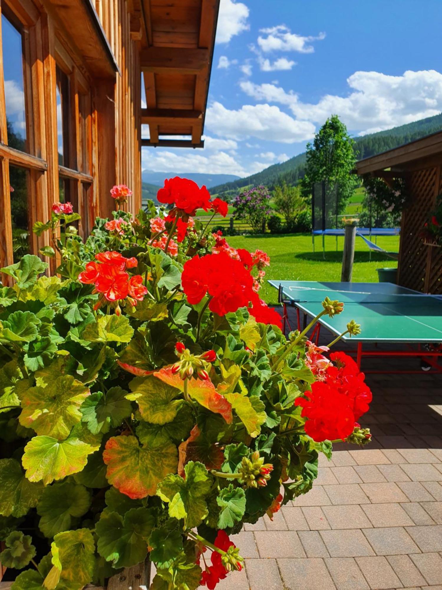 Apartment Haus-holzer Mauterndorf (Salzburg)