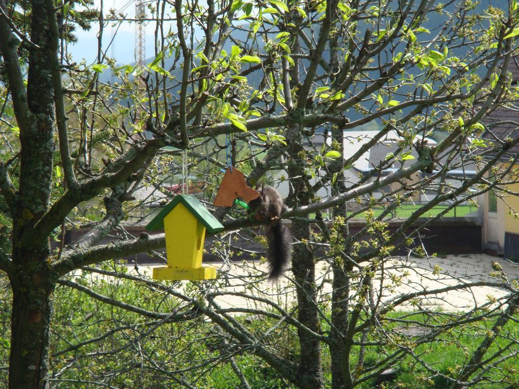 Haus-holzer