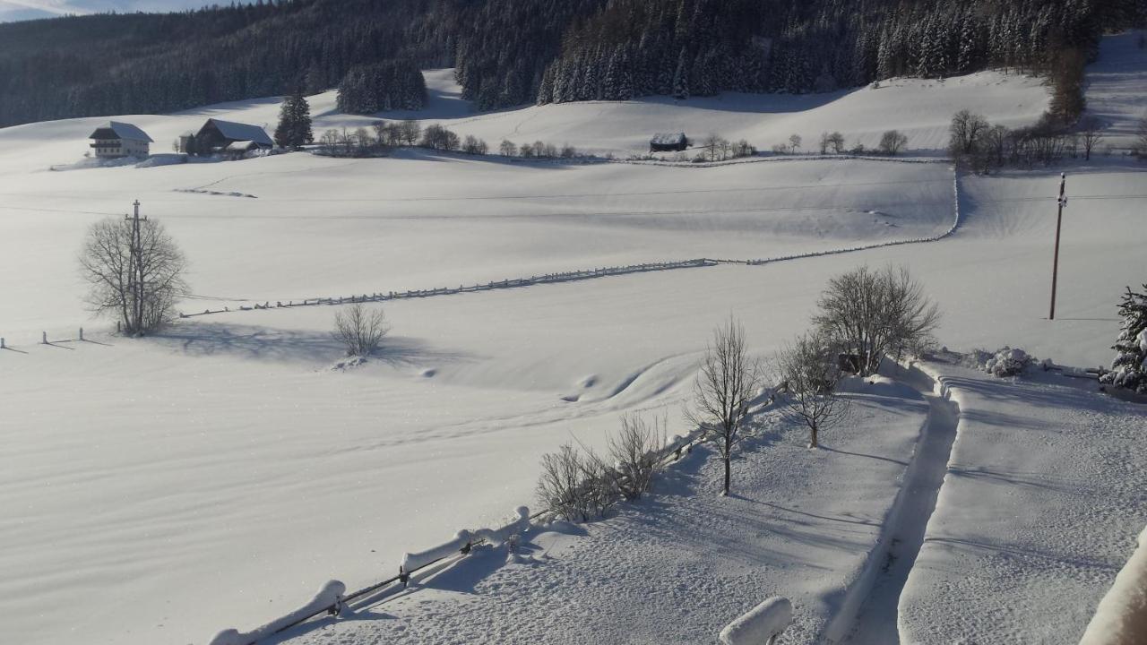 Apartament Haus-holzer Mauterndorf (Salzburg)